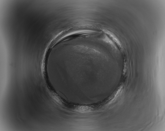 X0000087670399200705111201