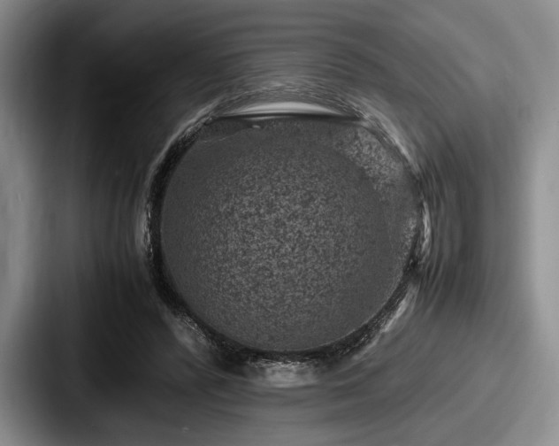 X0000087670400200705111201