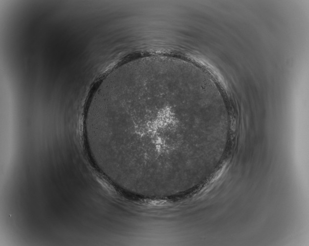 X0000087670401200705111201