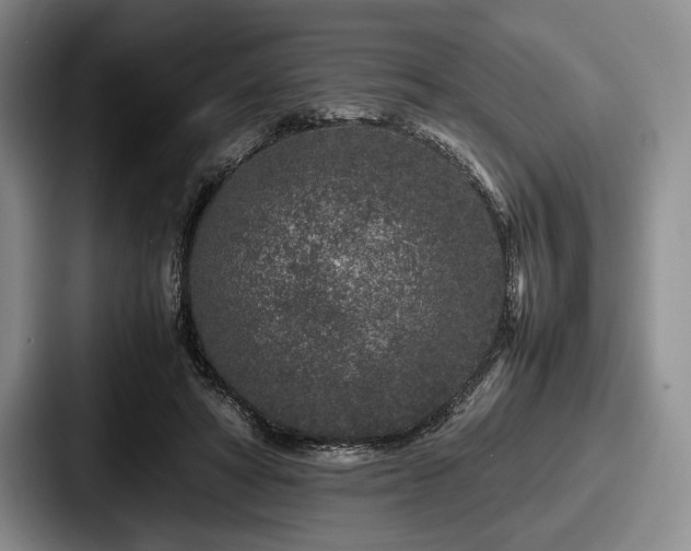 X0000087670402200705111201