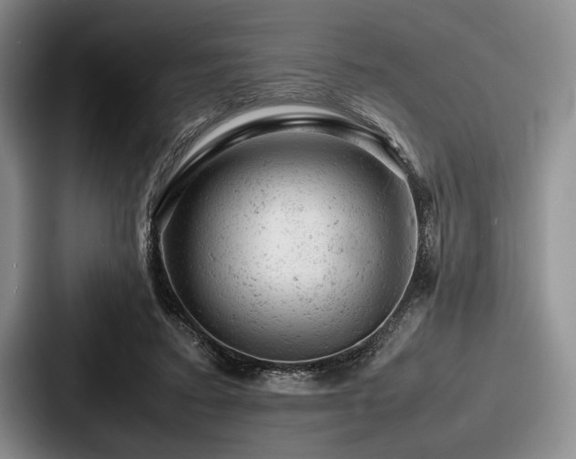 X0000087670403200705111201