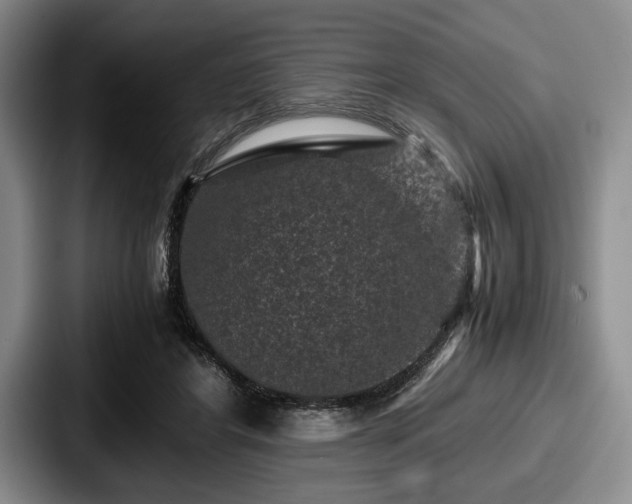 X0000087670404200705111201