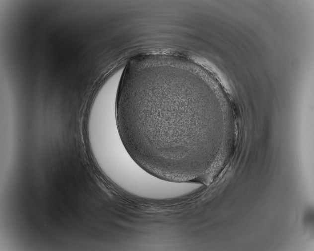 X0000087670405200705111201