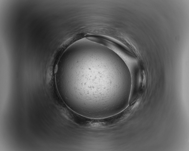 X0000087670407200705111201