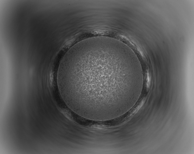 X0000087670408200705111201