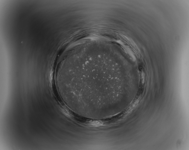 X0000087670409200705111201