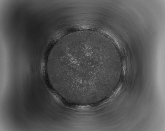 X0000087670410200705111201