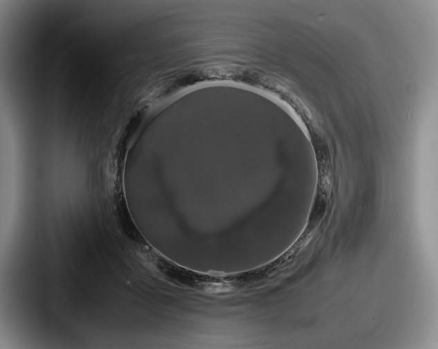 X0000087670411200705111201