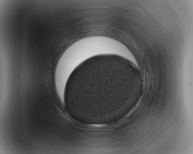 X0000087670412200705111201