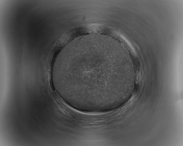 X0000087670413200705111201