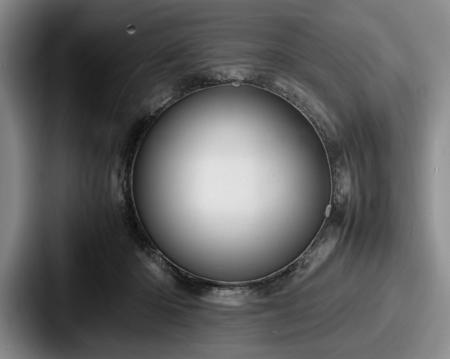 X0000087670414200705111201