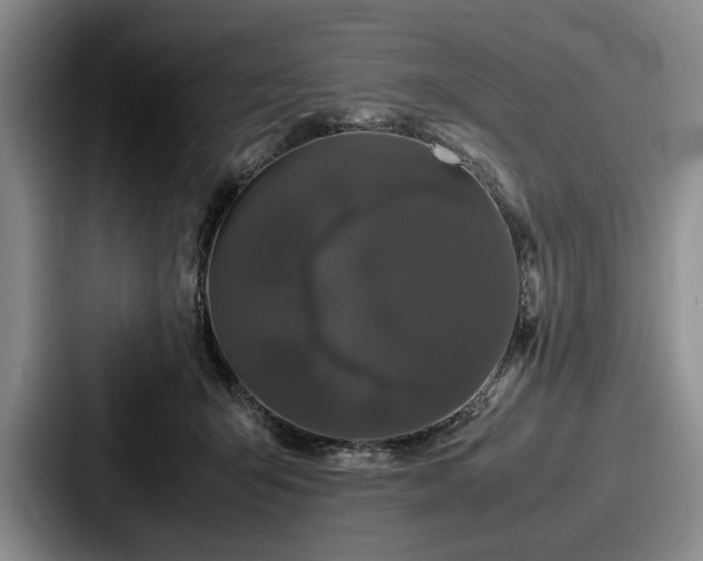 X0000087670415200705111201