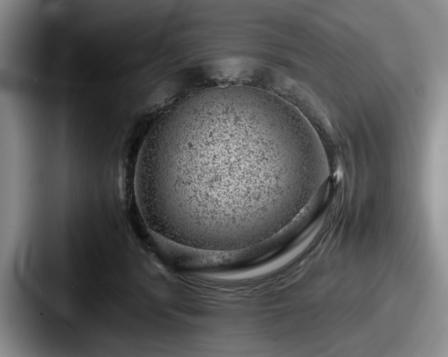 X0000087670416200705111201