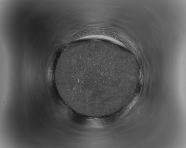 X0000087670417200705111201