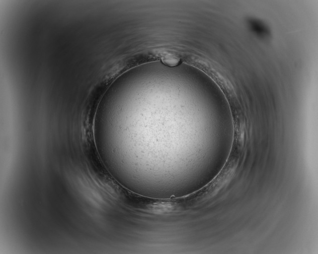 X0000087670418200705111201