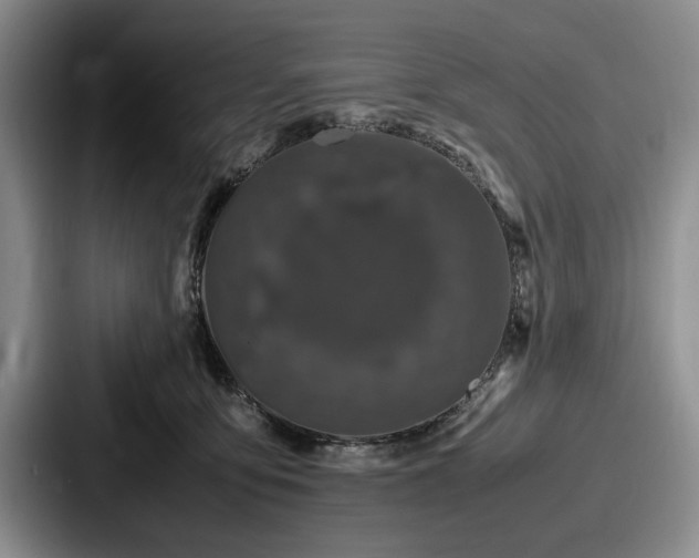 X0000087670419200705111201