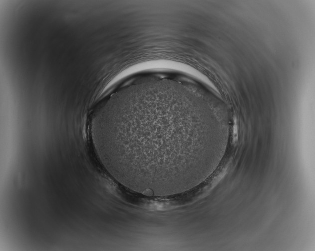 X0000087670420200705111201