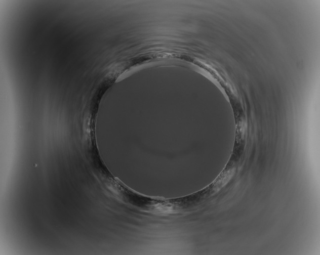 X0000087670423200705111201