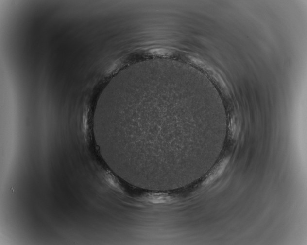 X0000087670424200705111201