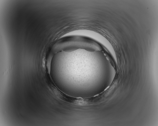 X0000087670425200705111201