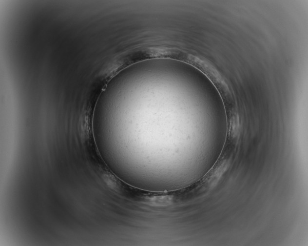 X0000087670426200705111201