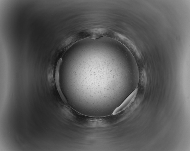 X0000087670428200705111201