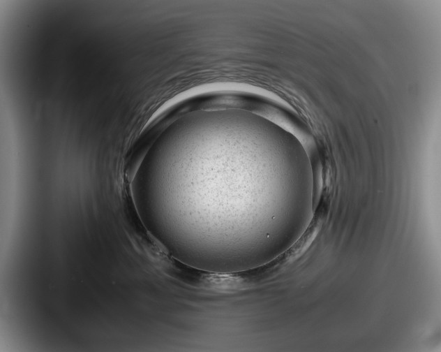 X0000087670429200705111201