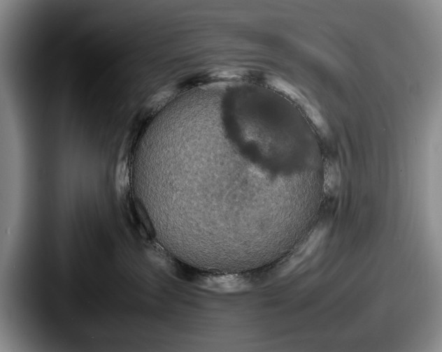 X0000087670431200705111201