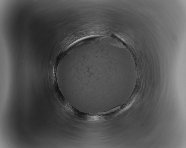 X0000087670432200705111201