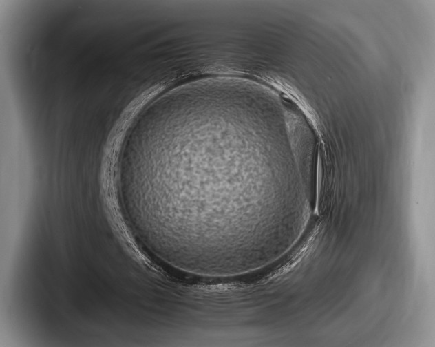 X0000087670433200705111200