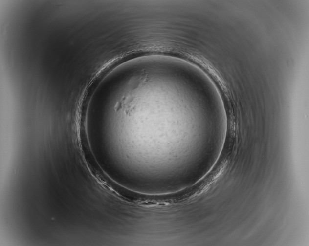 X0000087670434200705111200