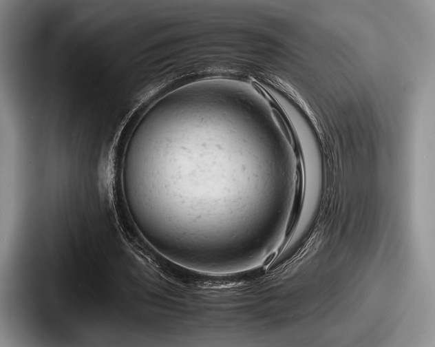 X0000087670435200705111200