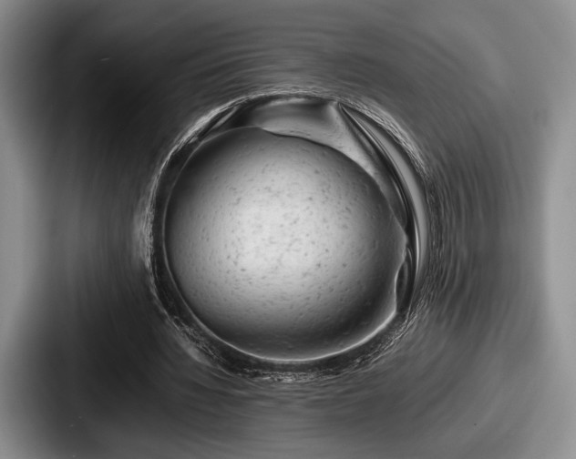 X0000087670436200705111200