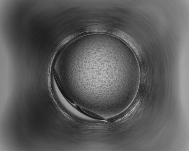 X0000087670437200705111200