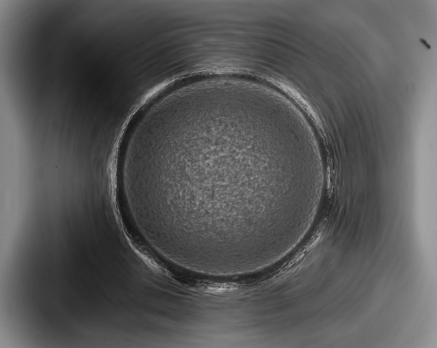 X0000087670438200705111200