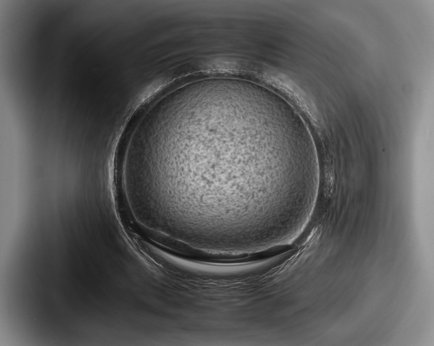 X0000087670439200705111200