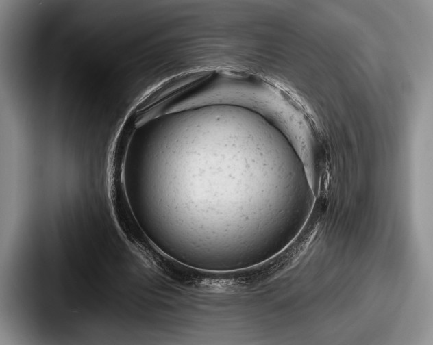 X0000087670440200705111201