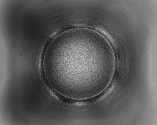 X0000087670441200705111201