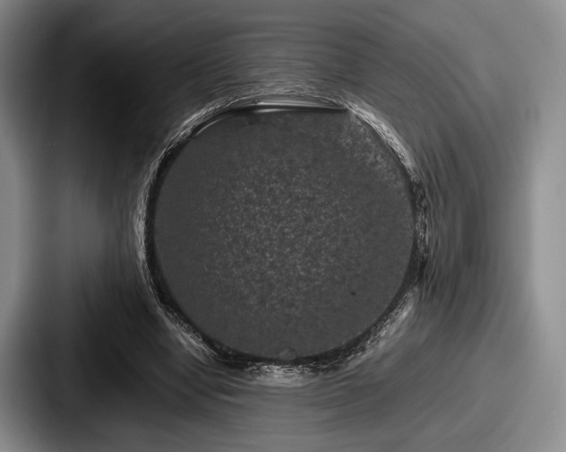 X0000087670442200705111201