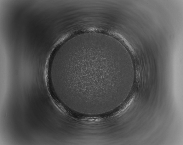 X0000087670443200705111201