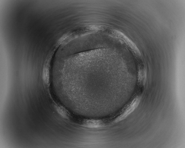 X0000087670444200705111201