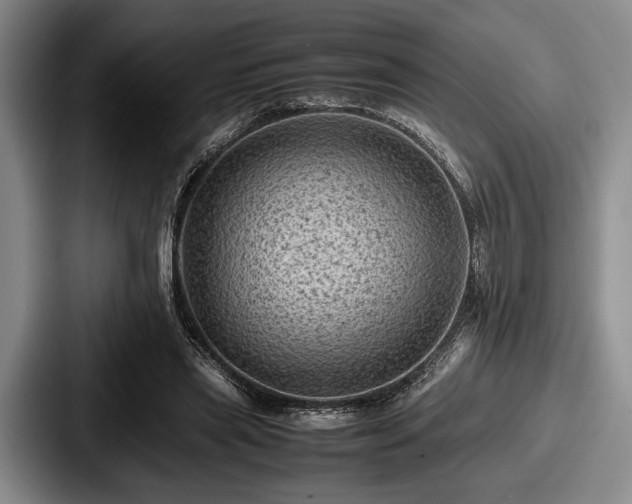 X0000087670445200705111201