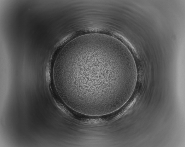 X0000087670446200705111201