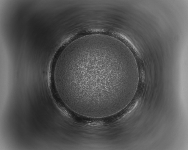 X0000087670447200705111201