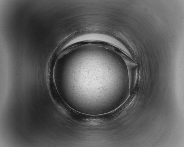 X0000087670448200705111201