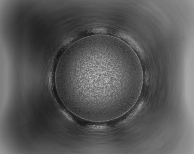 X0000087670449200705111201