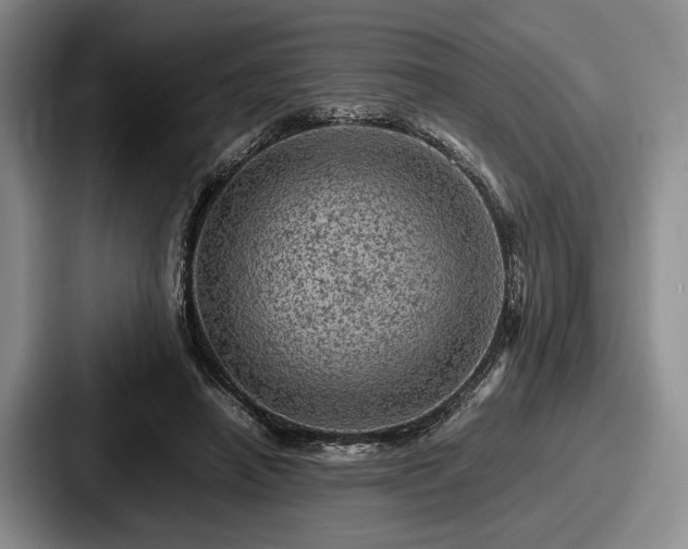 X0000087670450200705111201