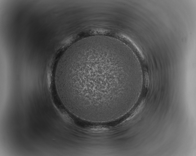 X0000087670451200705111201