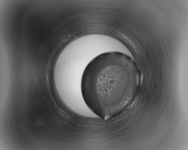 X0000087670452200705111201