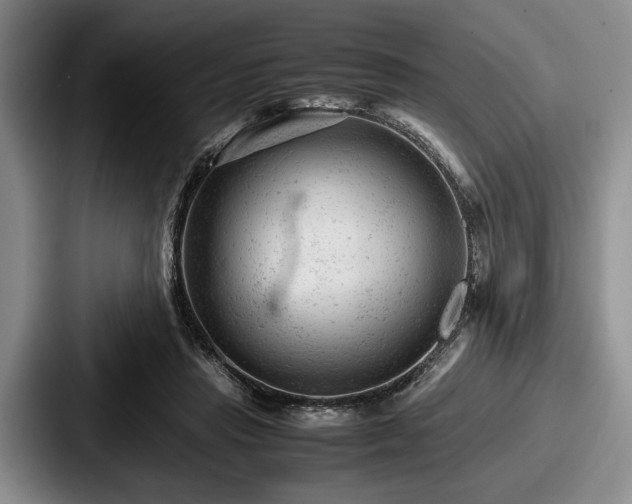 X0000087670453200705111201